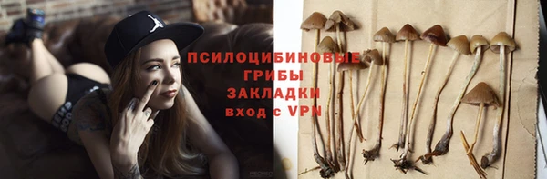 винт Протвино