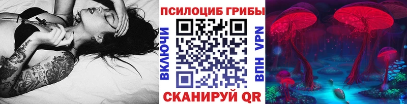 Галлюциногенные грибы Cubensis  Киренск 